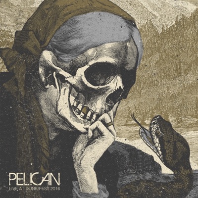 Pelican