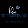 Blue Metamorphosis, 2017