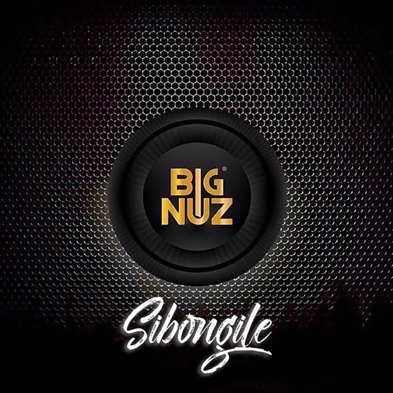 Cover artwork for Sibongile