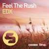 Feel the Rush - Single