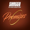 Promises (feat. Romain Virgo) - Single