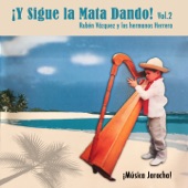 Sigue la Mata Dando, Vol. 2 (¡Música Jarocha!) artwork
