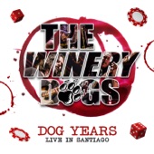 Dog Years: Live In Santiago artwork