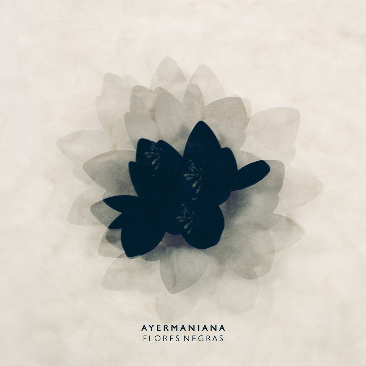 Flores Negras by Ayermaniana on Apple Music