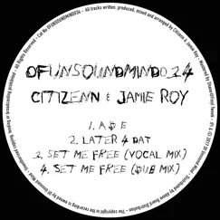 Later 4 That by Citizenn & Jamie Roy album reviews, ratings, credits