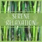 Relaxation Zone - Relaxing Distraction Therapy Zone lyrics