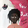 You Suck, Breast Cancer - Single album lyrics, reviews, download