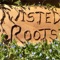 Ukulele Man - Twisted Roots lyrics