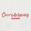 Overwhelming - Single, 2016