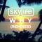 Why (feat. Summer Rayne) - Skylife lyrics