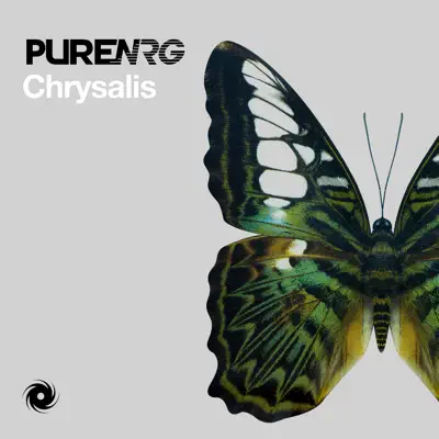 Chrysalis - Single - PureNRG