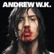 Party Hard - Andrew W.K. lyrics