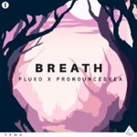 pluko & pronouncedyea - Breath