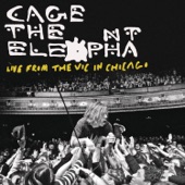 Cage The Elephant - Flow - Live