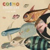 Come Along by Cosmo Sheldrake iTunes Track 3