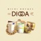 Digga - Richi Rhymes lyrics