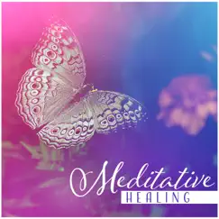 Meditative Healing: Spiritual Trance, Mind Connection, Soul Balance, Sacred Journey, Living in Harmony, Vision of Light by Healing Yoga Meditation Music Consort album reviews, ratings, credits