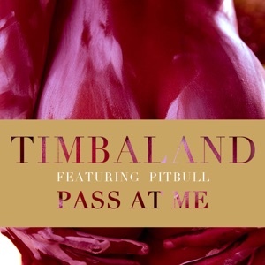 Timbaland - Pass At Me (feat. Pitbull) - Line Dance Musique