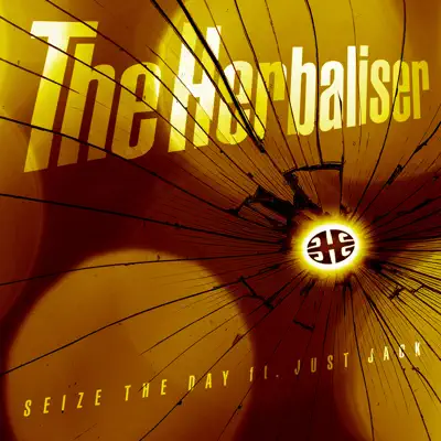 Seize The Day - Single - The Herbaliser