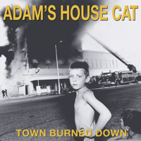 Adam's House Cat - Town Burned Down artwork