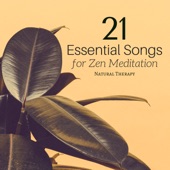 21 Essential New Age Songs: Relaxing Music with Nature Sounds for Meditation, Yoga, Sleep, Inner Peace and Harmony artwork