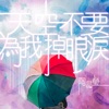 陶晶瑩 - 天空不要為我掉眼淚