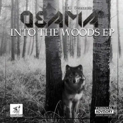 Into the Woods - Osama