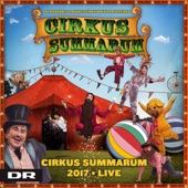 Cirkus Summarum 2017 (Live) artwork