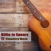 22 Country Best artwork