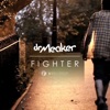 Fighter (feat. Lorna King) ジャケット写真