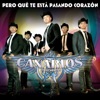 Pero Qué Te Está Pasando Corazón - Single