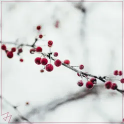All I Want for Christmas Is You - Single - Madilyn Bailey All I Want for Christmas Is You - Single - Madilyn Bailey