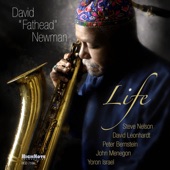 David "Fathead" Newman - What a Wonderful World