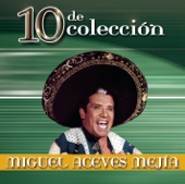 10 de Colección artwork