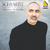 Schubert: Impromptus Op.90, 142 artwork