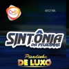 Sintonia da Pisadinha - EP