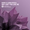 Why Can't You Love Me - Single