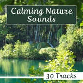 Calming Nature Sounds - 30 Tracks with Super Relaxing Music for Peaceful Sleep, Relaxation & Stress Relief artwork