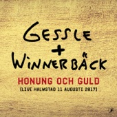 Honung och guld (Live Halmstad 11 augusti 2017) artwork