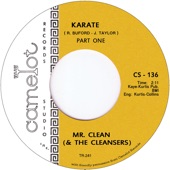 Mr. Clean and the Cleansers - Karate, Pt. 1
