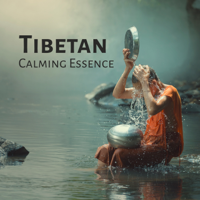 Buddha Music Sanctuary - Tibetan Calming Essence: Pacification of the Mind, Mindfulness of Breathing, Mental Healing, Singing Bowls Temple artwork