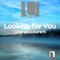 Looking for You - Charles Laurent lyrics
