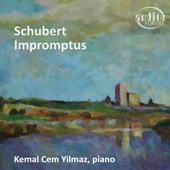 Schubert: Impromptus artwork