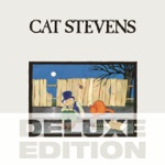 Rubylove by Cat Stevens