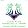 Everything You Are / Free Me (Remixes) - EP album lyrics, reviews, download