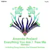 Stream & download Everything You Are / Free Me (Remixes) - EP