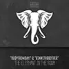 The Elephant in the Room - EP album lyrics, reviews, download