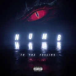 Numb to the Feeling - Single - Chase Atlantic