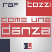 Come una danza artwork