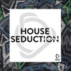 House Seduction, Vol. 9